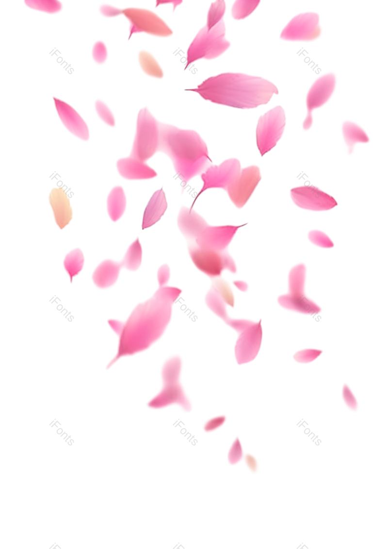 元素图片,插画元素,白色背景PNG,花瓣免抠素材